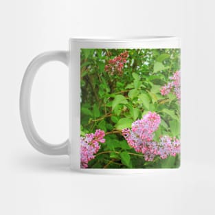 Lilac Bush Mug